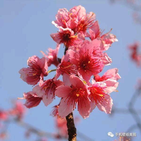 胖姐时装