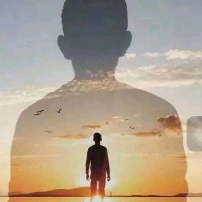 正能量nl