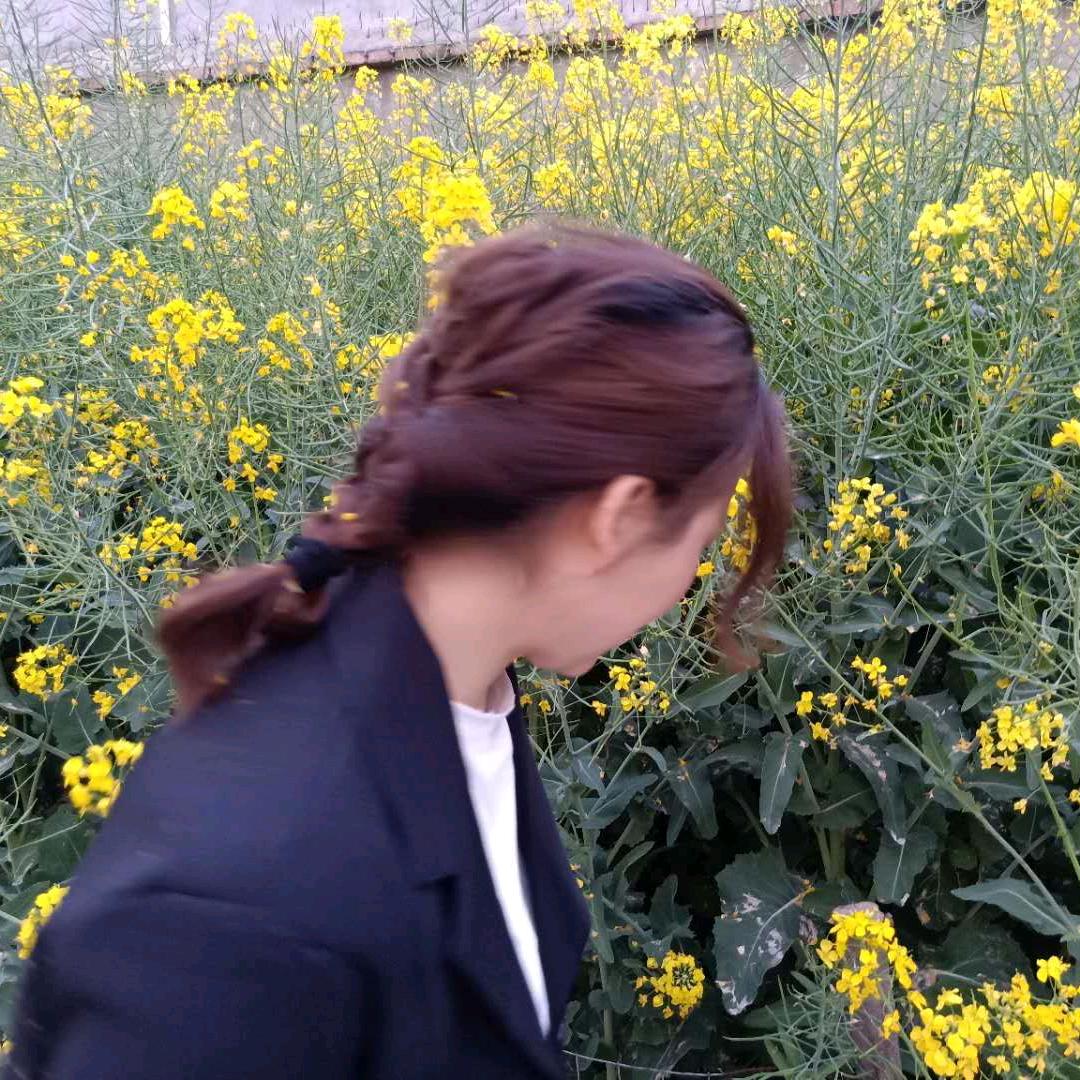 张家四小姐