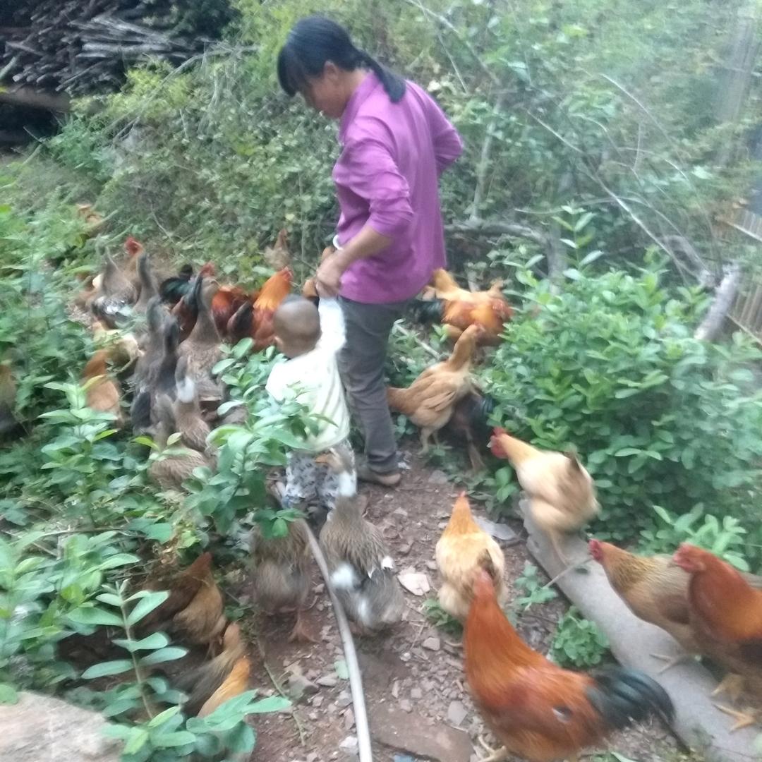 过去已更新