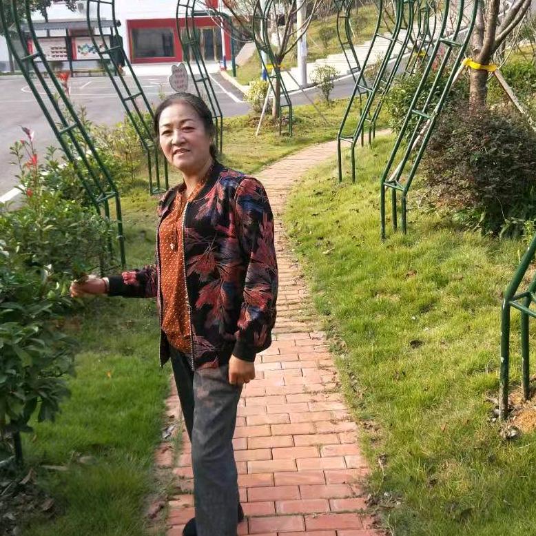 老沈