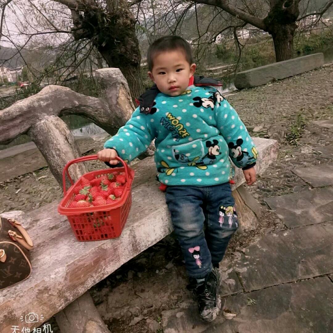 惜情
