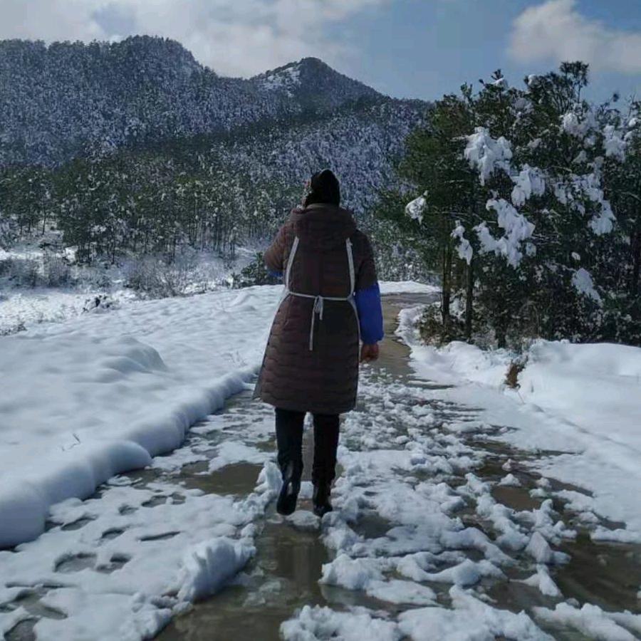 四个小马🐴的妈妈