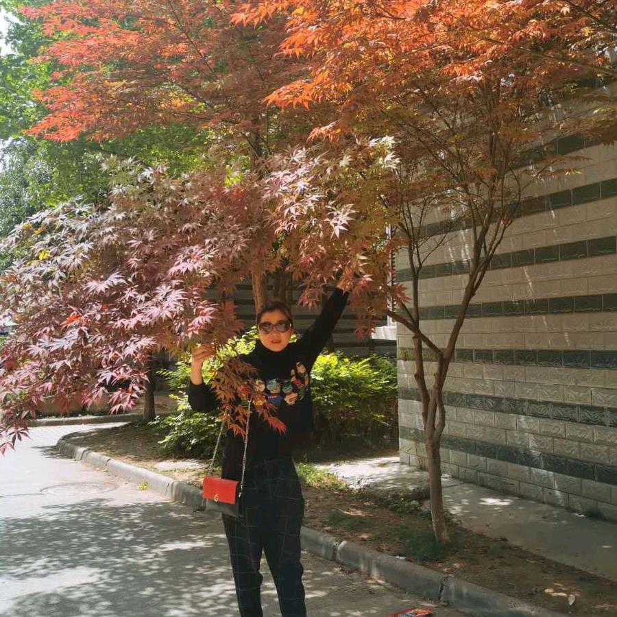 74，6月虎🦁🦁开心果🐅