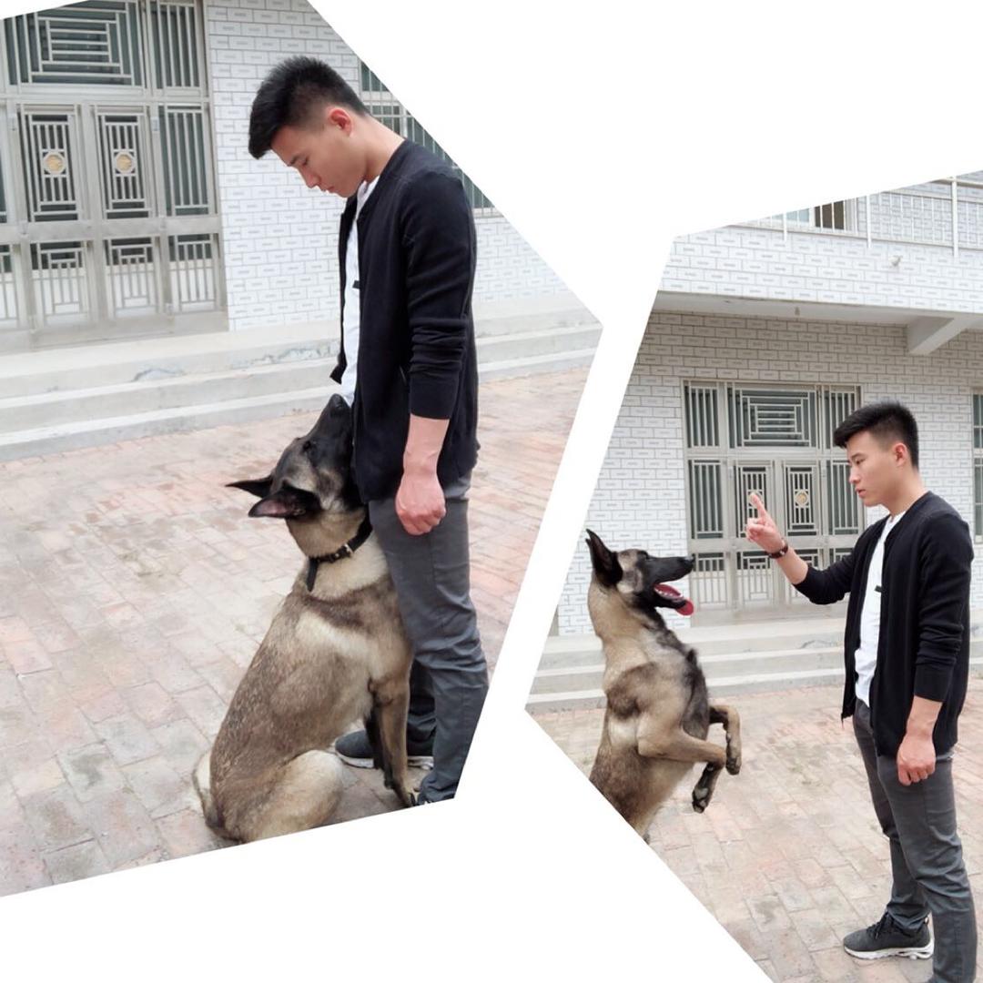 训犬师、健健宠物服务