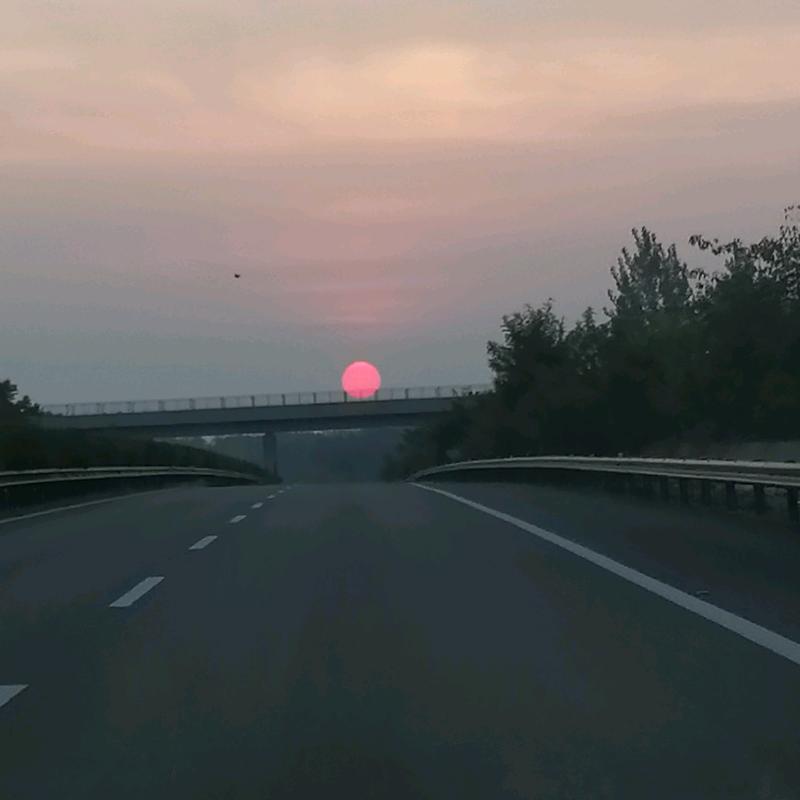 宝哥