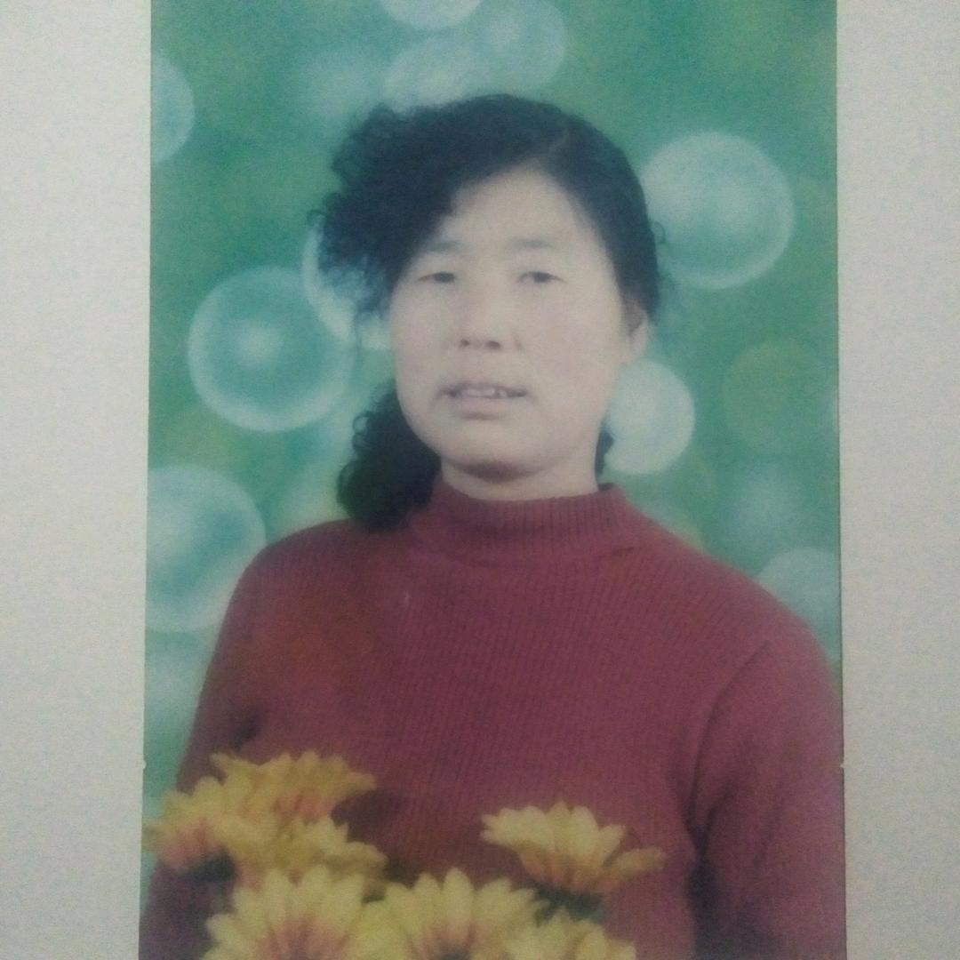 风刘乖素
