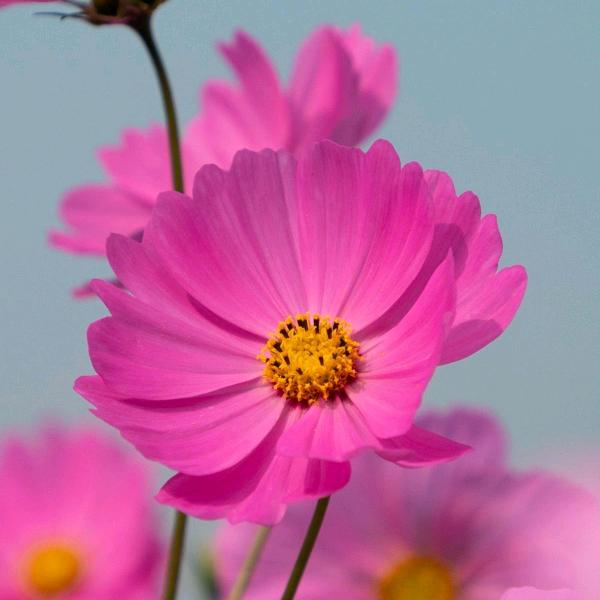 用户7905407974872美好时光