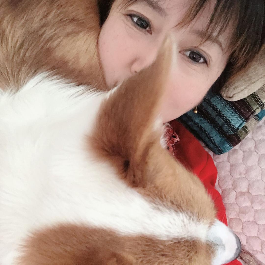 语