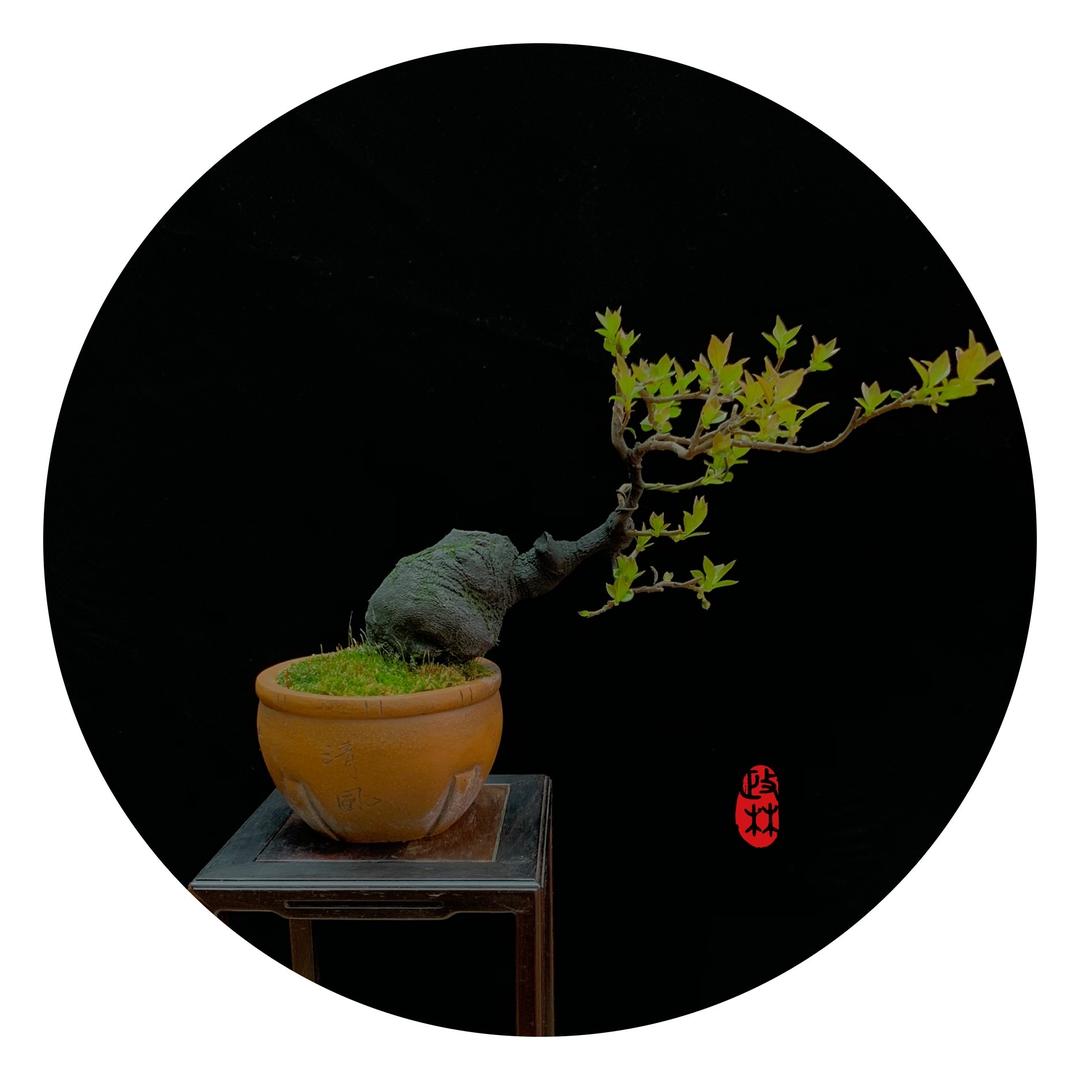 李大爷