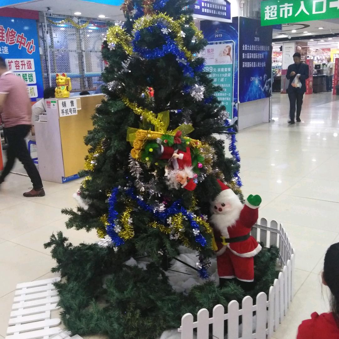百合花