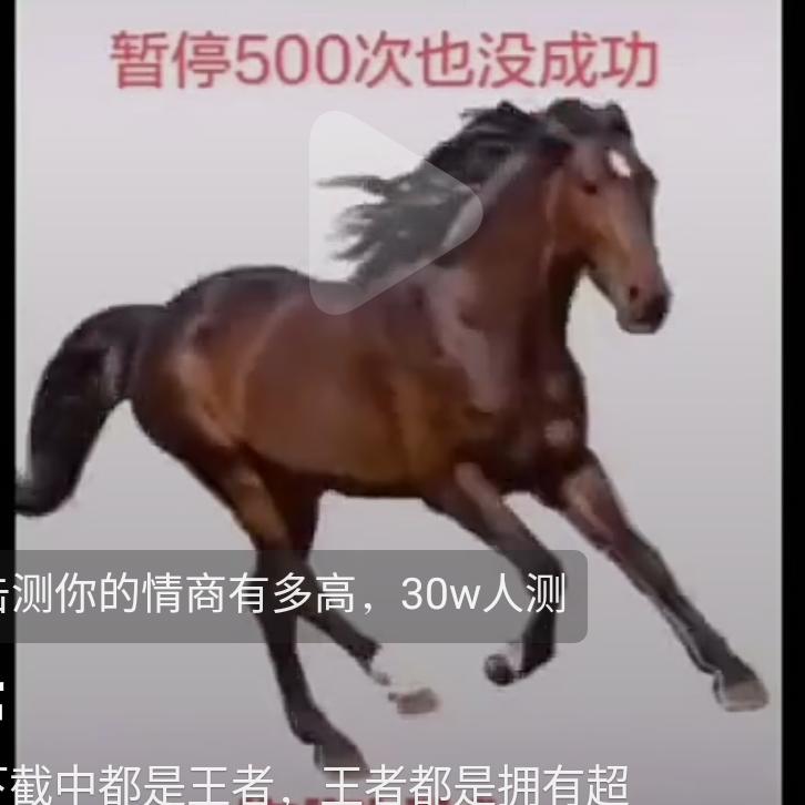 藏传小柒是骗子