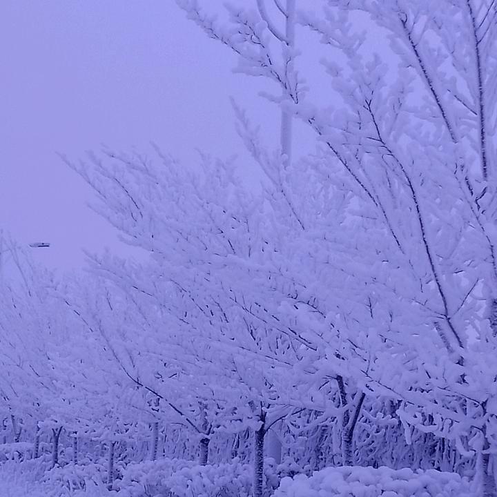 任逍遥