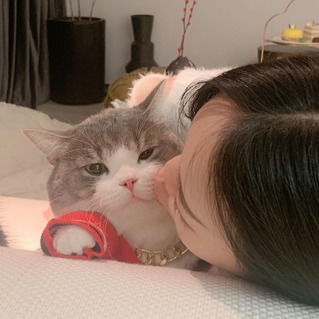 乐乐的土豆