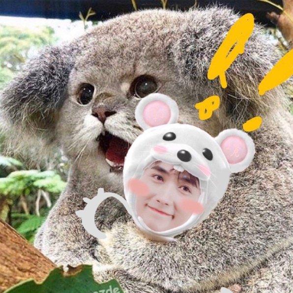 冯豆子的小绿裤💕期待空枪