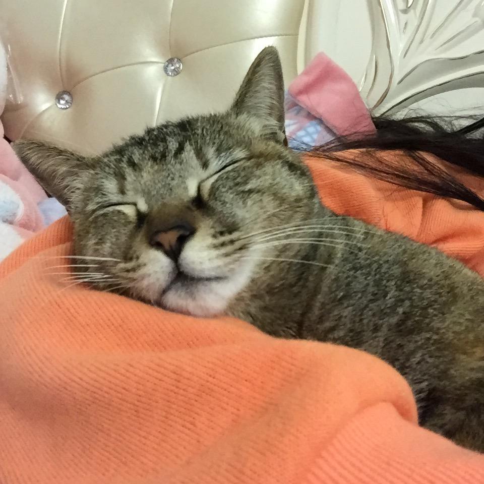 归尘