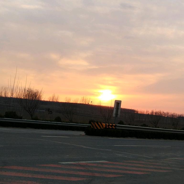 日照樱花基地