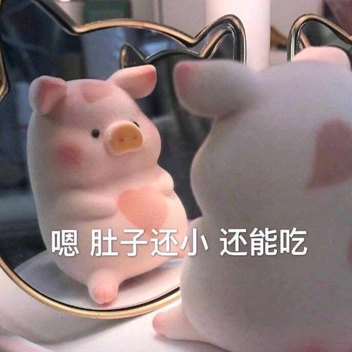 一颗派大 信