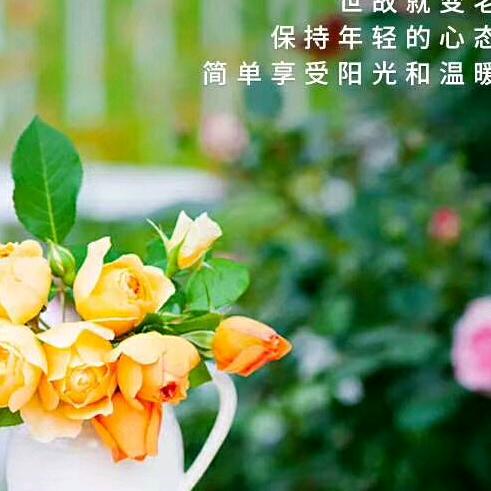 临泉义乌商贸城一大脚丫《首播筹备中》