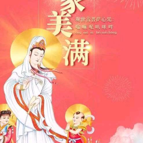 春天的花朵