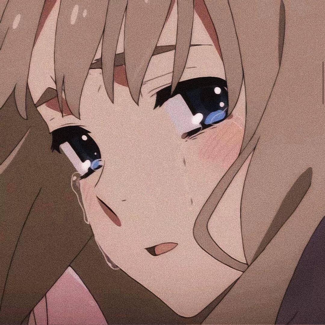 猫九.