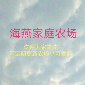 海燕家庭农场