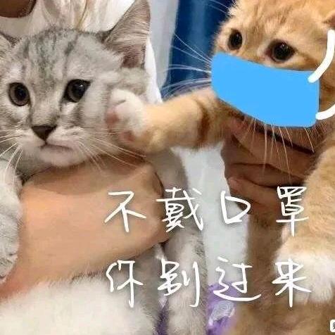 加油打工的小陈