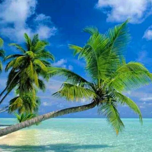 海南旅游冯建华