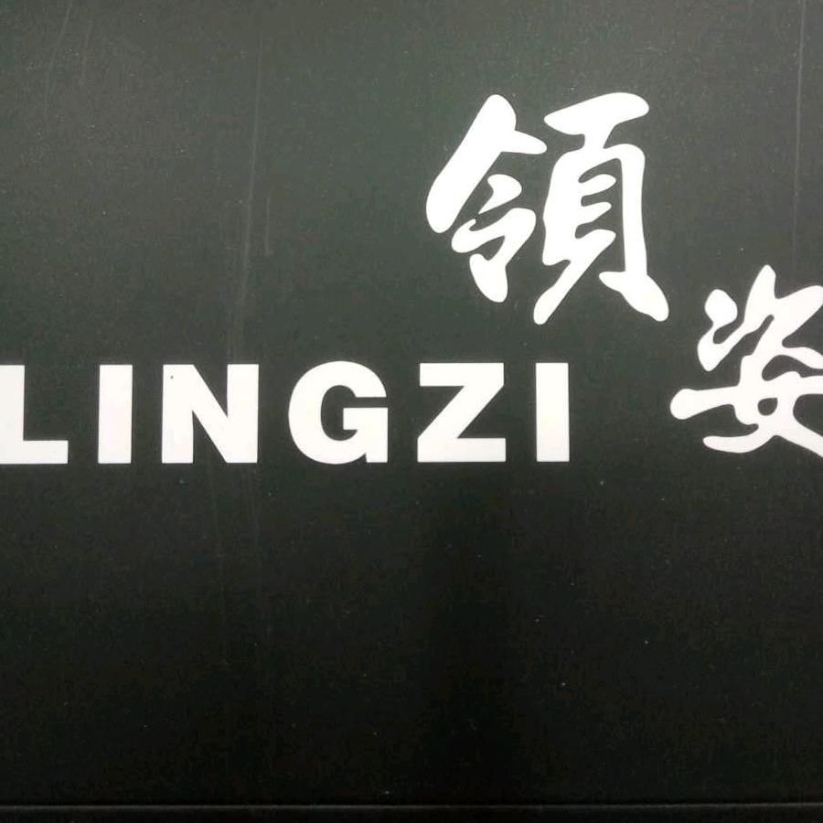 昌吉市领姿女装店