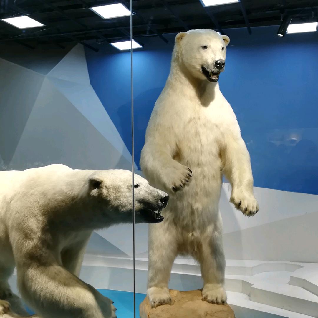 要求上进的小老太