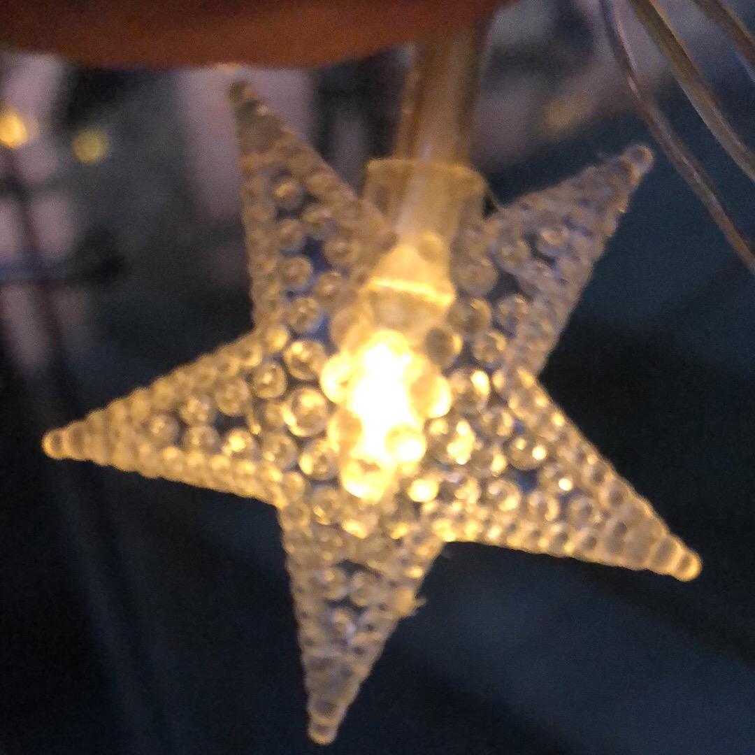 氹氹转，菊花园