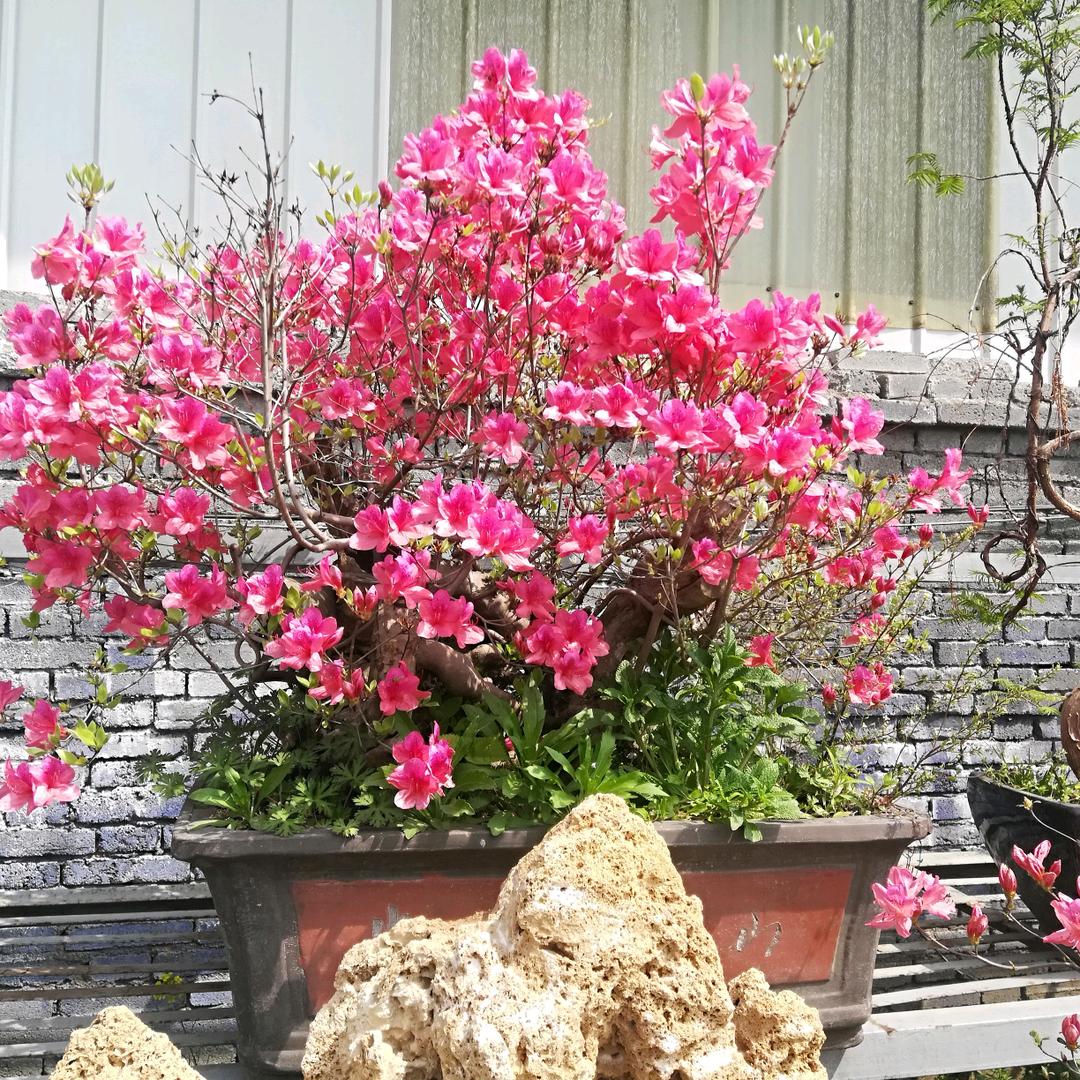 你若安好，就是晴天