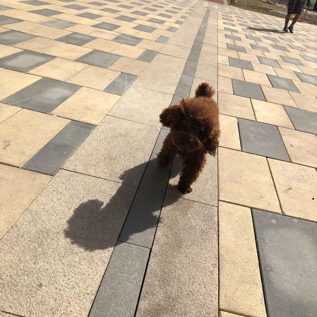 正经人