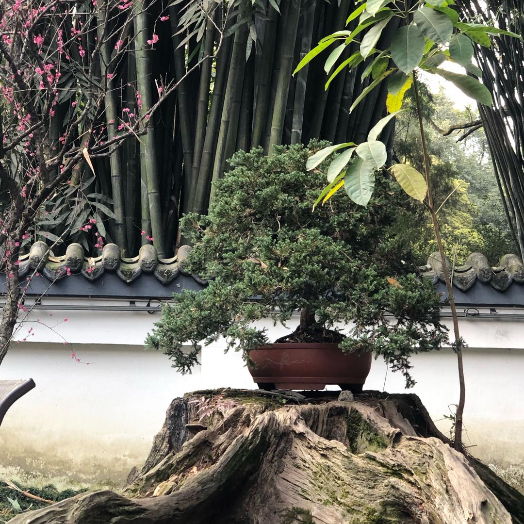 南南