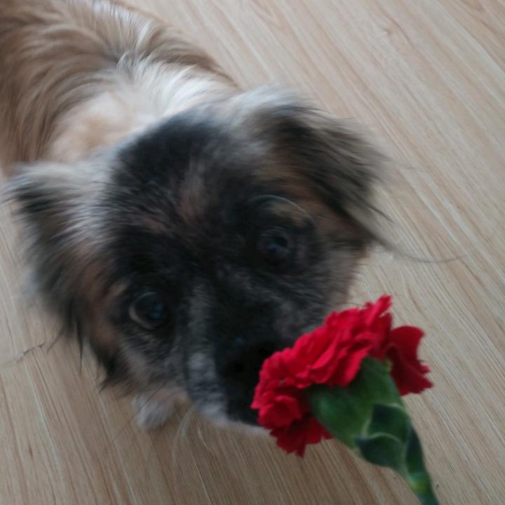 杰有可陈🐭🐮🌻