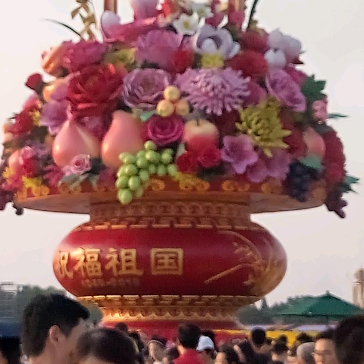 明月有情