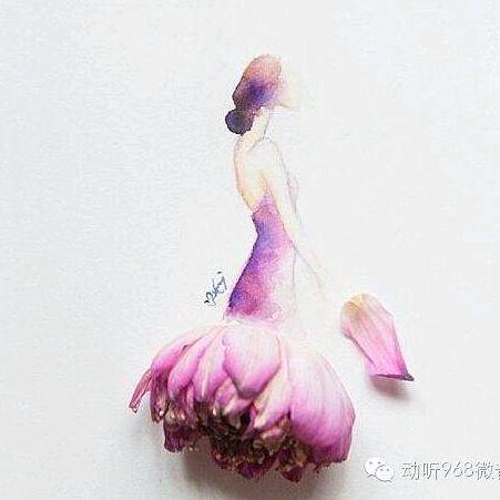 婉婉