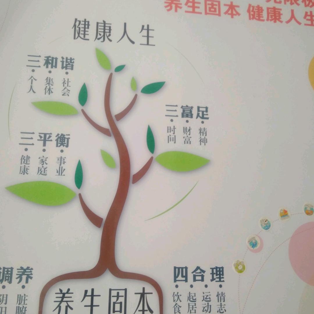 无限美彬姐创业记录