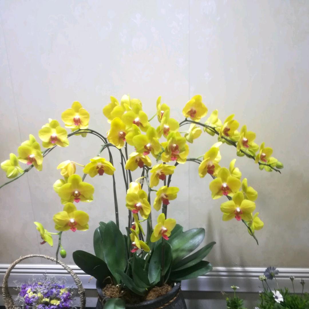 曾经