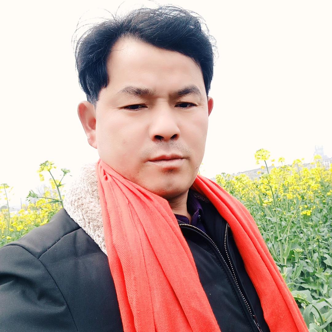 上坊高墩草莓专业合作社🍓