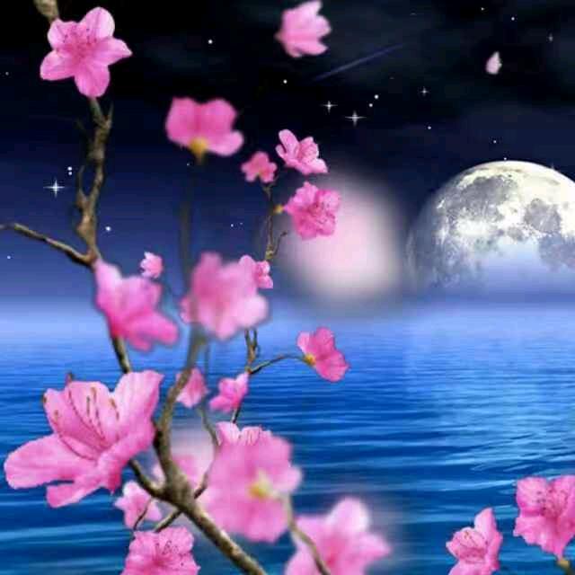 水中月亮🌙