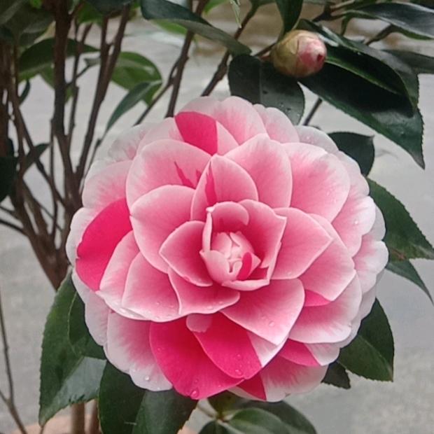 等你一光年～～～～