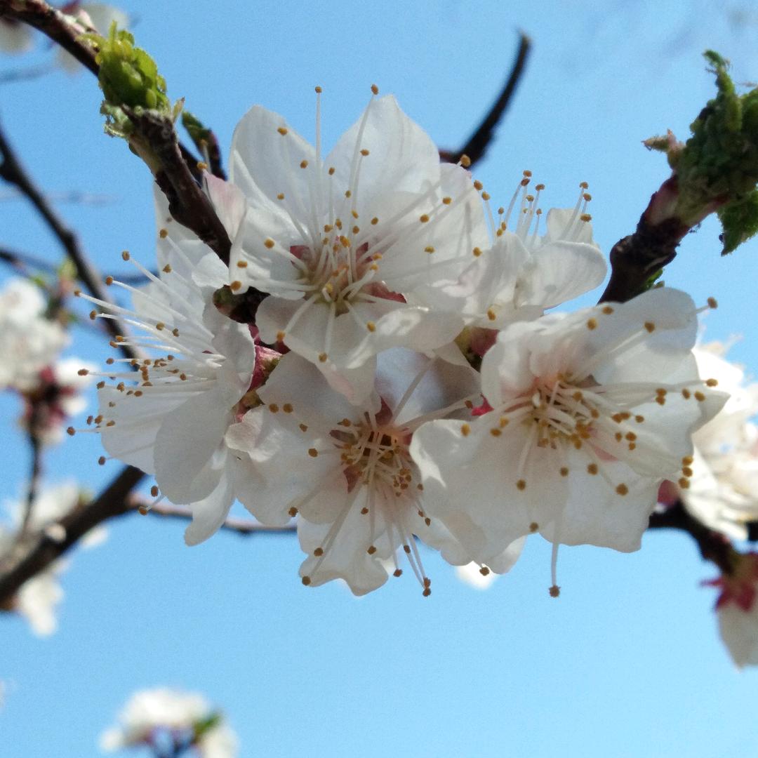 一年春暖花开