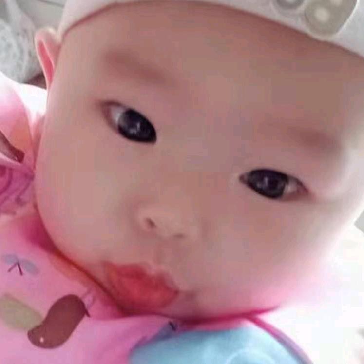 摇钱树