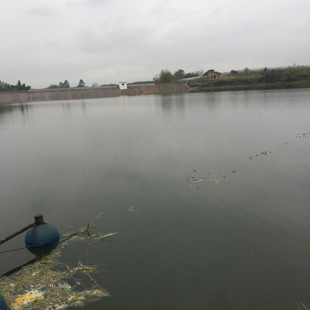 胜利水库休闲钓场