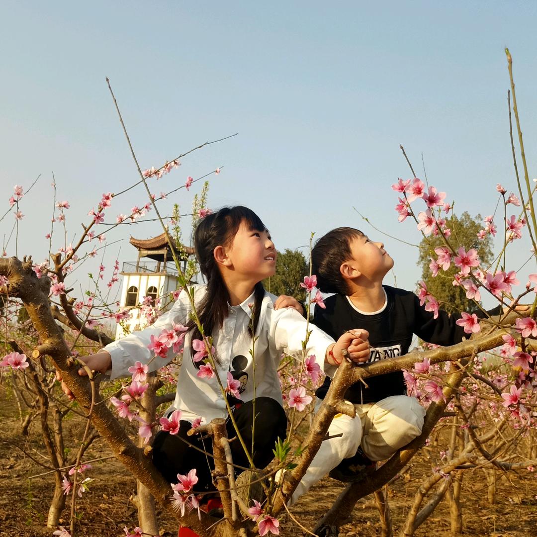 🍀小双不讲李🌹
