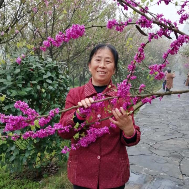 陈姐