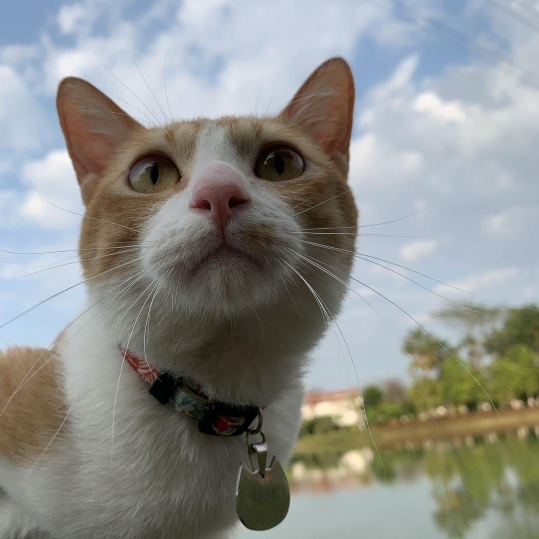大包〰