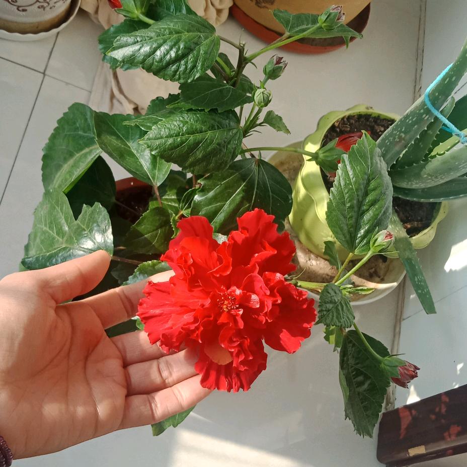 腾达成泽汽车维修