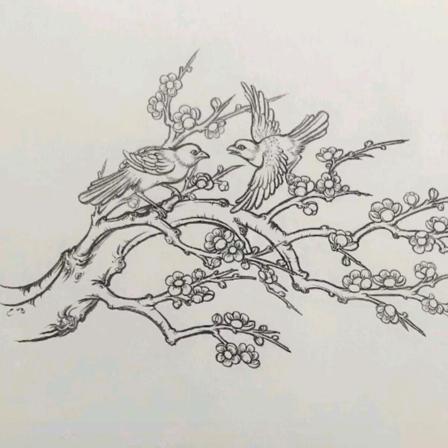 野狼